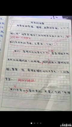 小学生做家务作文怎么写