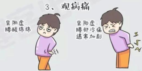 肾怕冷是怎么回事