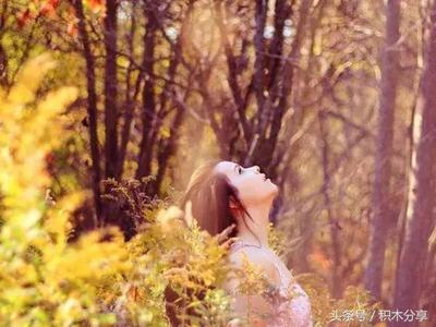死心了的句子
