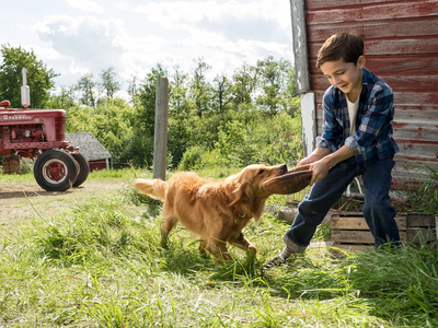 魔法坏女巫 下