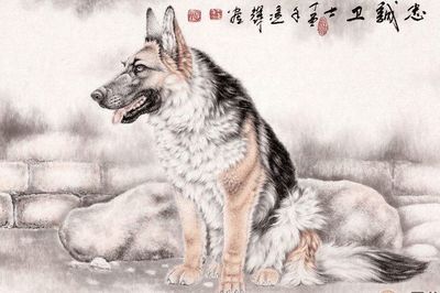 属狗的财运方向