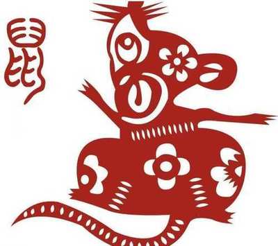 属鼠犯冲的属相