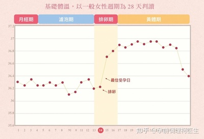 排卵期怎么算