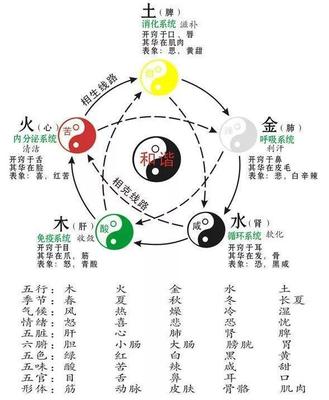 卖服装属于五行属什么