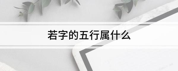 若五行属什么