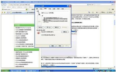 web安全插件