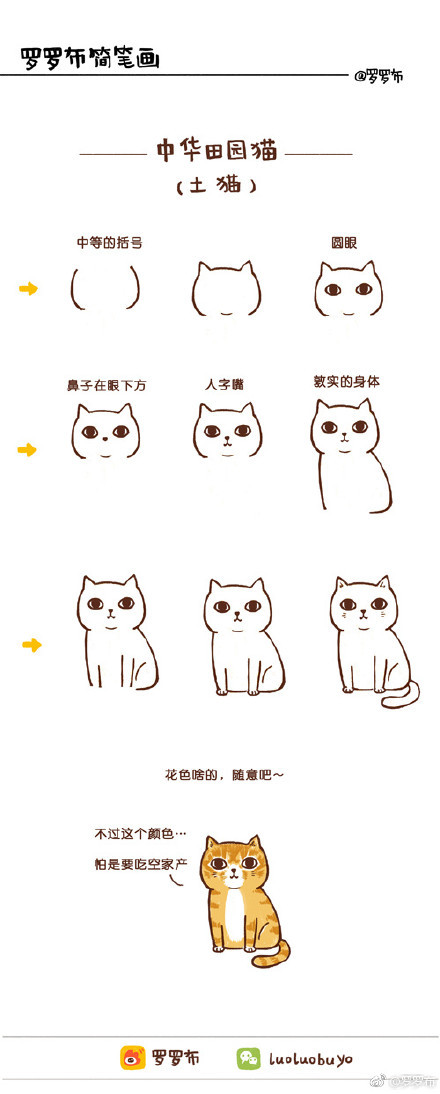 来画几只猫吧~#罗罗布简笔画#加菲猫,