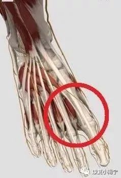 脚趾麻木怎么治疗方法