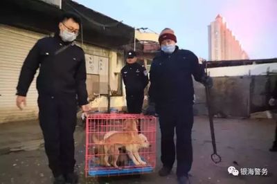 城管抓狗合法吗