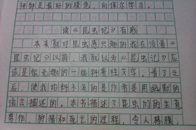 这个昆虫怎么特别250作文