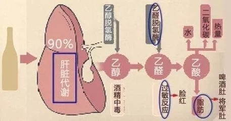 酒精 痘痘