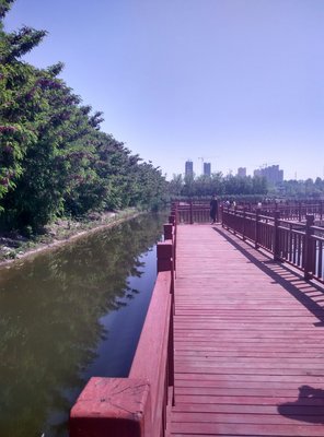 东城公园