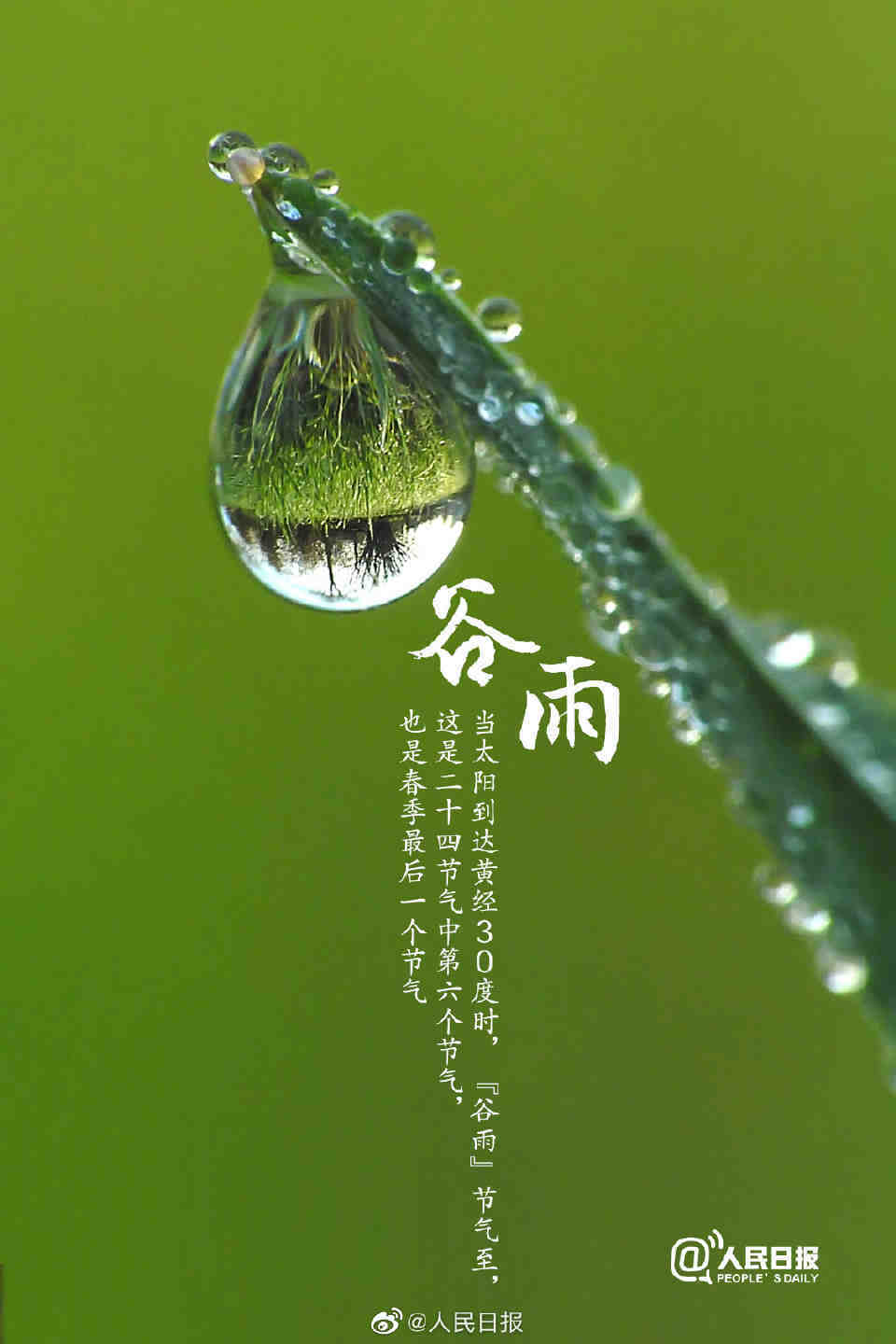 谷雨的寓意