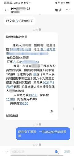 取保候审能贷款吗