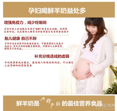 孕妇能喝羊奶吗
