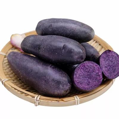紫色胡萝卜怎么吃