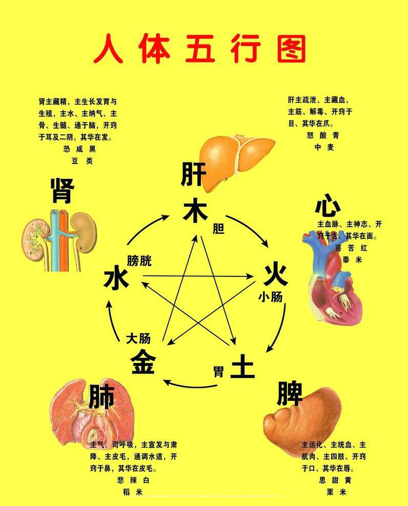 阴阳与五行