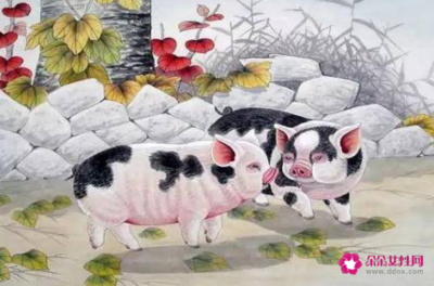 生肖猪和龙相配吗
