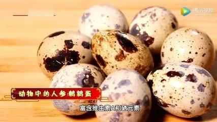 怀孕可以吃鹌鹑蛋吗