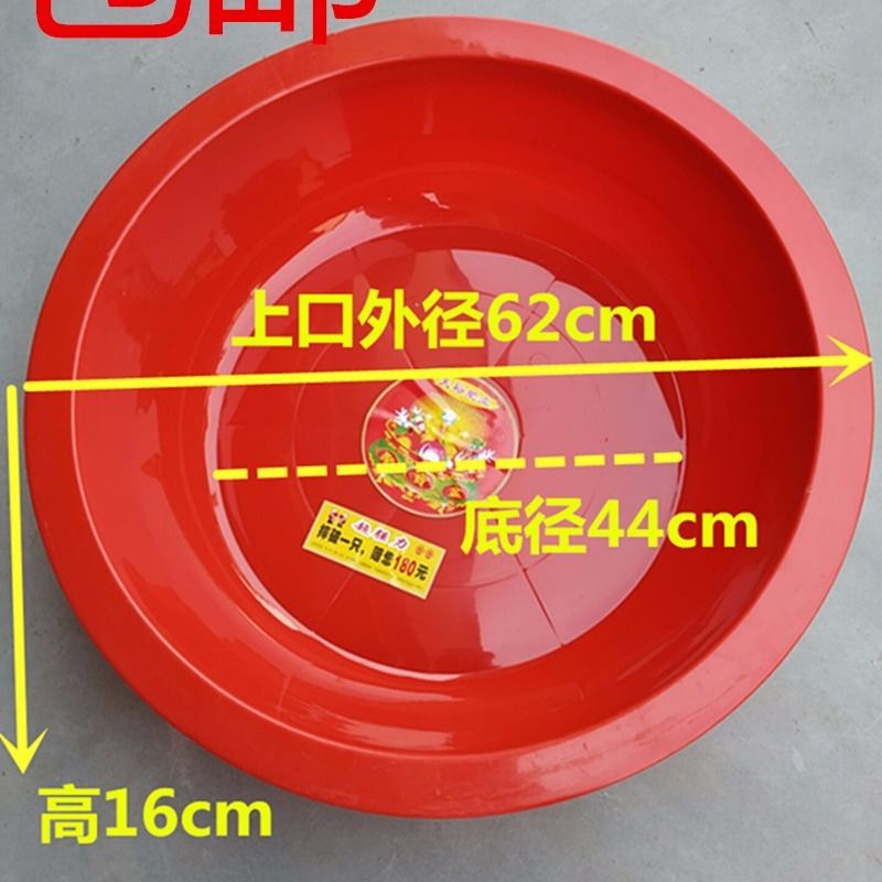 ֱ80cm