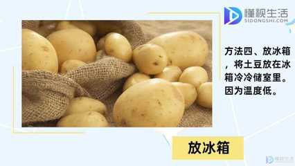 土豆保存不发芽
