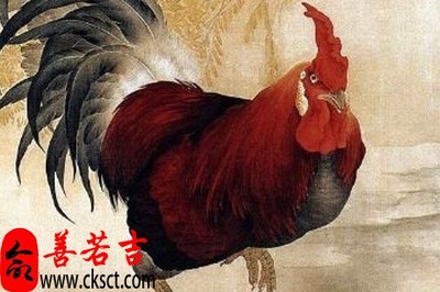 属鸡人今年运势