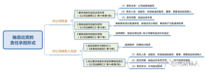 股东的法律责任