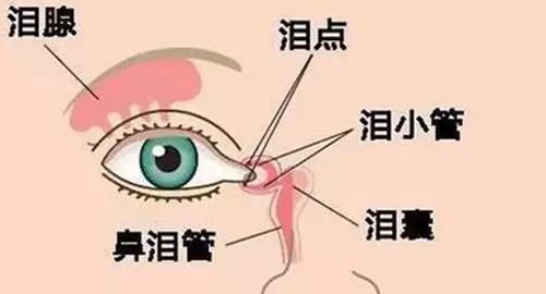 泪小管断裂算几级伤残