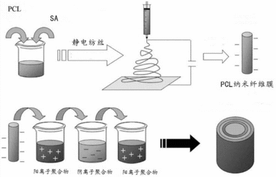 验船师试卷结构是什么意思