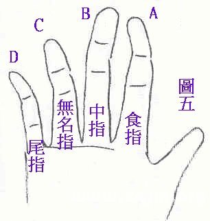 手指看性格