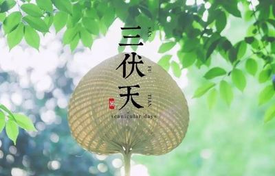 今年大暑时间