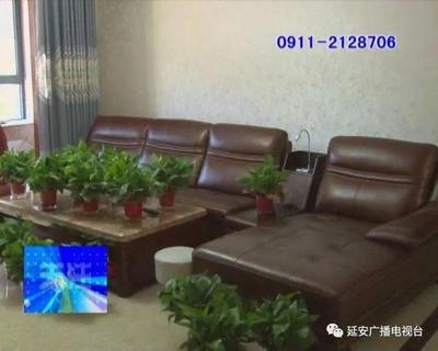 新沙发味道怎么快速清除