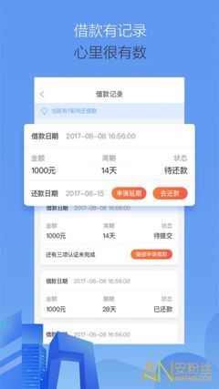 借款不查征信