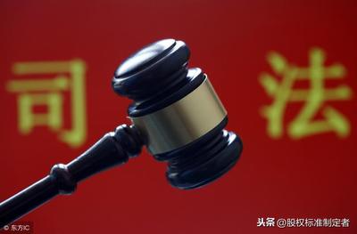 公司股权纠纷