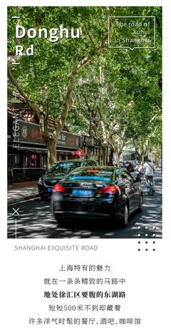 上海东湖路属于哪个区