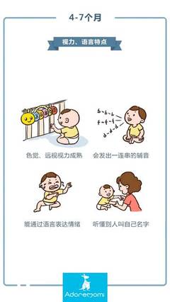 一周岁是几个月