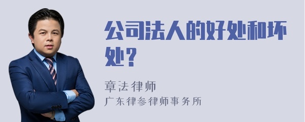 当公司法人好处和坏处