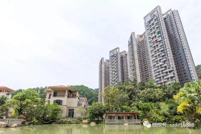 淘金山湖景花园
