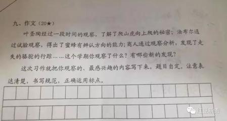 写动物一段话怎么写呢