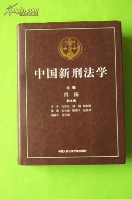 中国刑法学