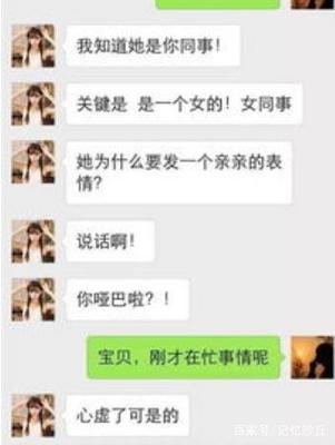 上了怀孕同事