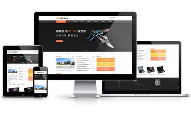 阜城网站优化哪家好?