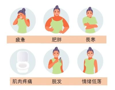 孕妇甲减