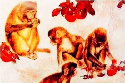 一九零七年属什么生肖
