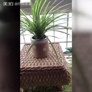 奶粉桶废物利用做花盆