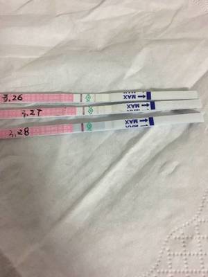 怎样知道排卵期有没有排卵