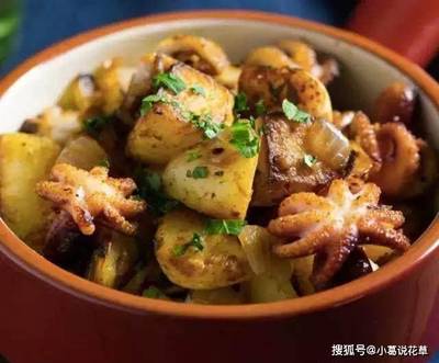 土豆炖鱿鱼的做法大全家常