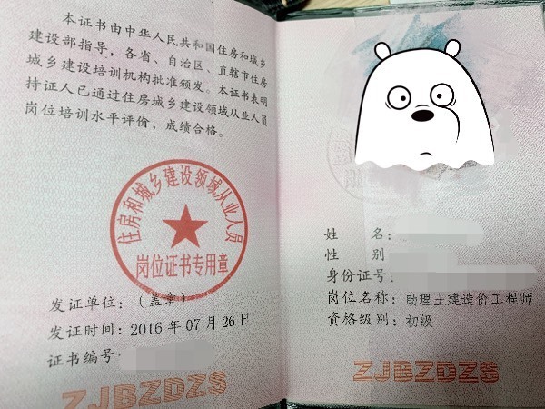 高级工程师可以干什么