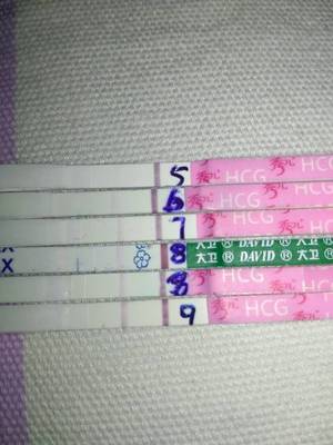 同床10天血hcg达到多少