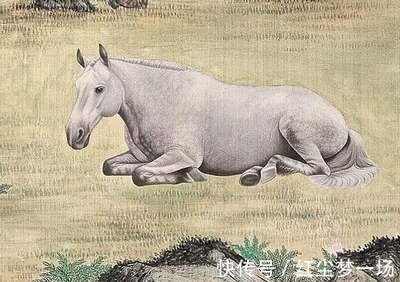 一马平川是什么生肖